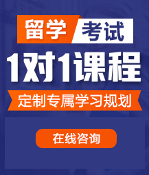 男人的jj桶女人的肌肌视频网站在线观看留学考试一对一精品课